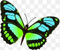 ��Ӱ����Ч���׵�ͼ����-������