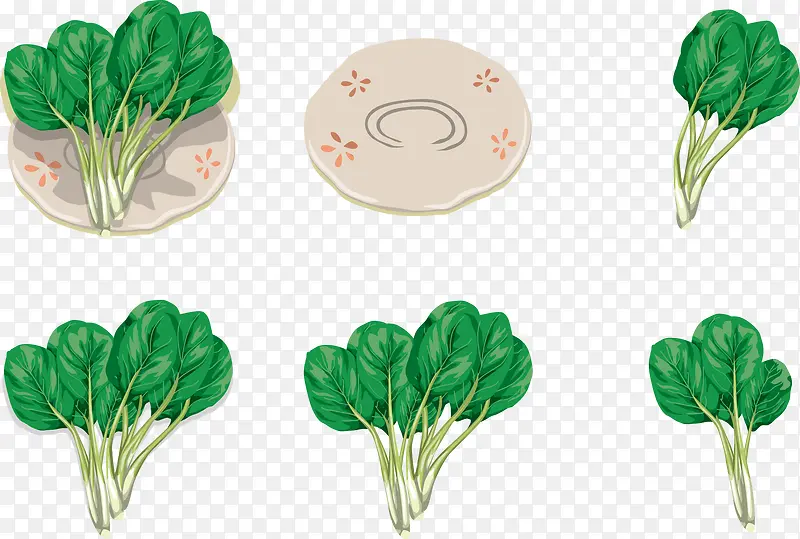 ʸ����ɫ�߲�-������