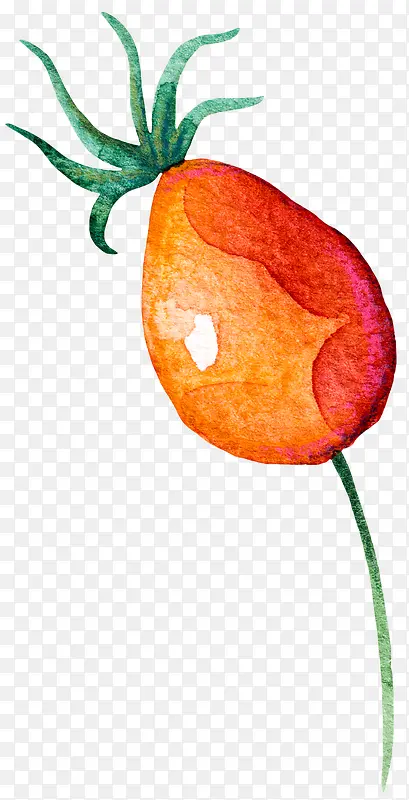 �ֻ�Ϲ��߲�-������