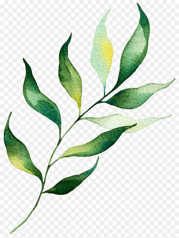 �ֻ�Ϲ��߲�-������