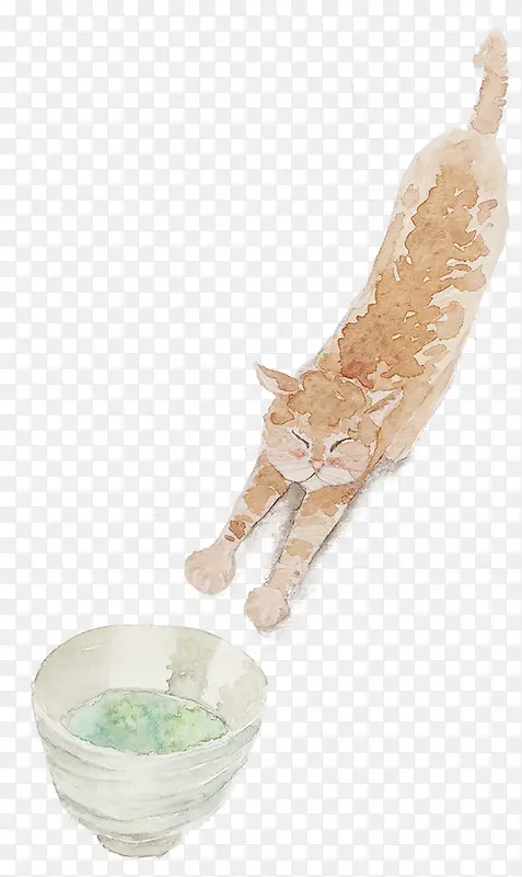 �ֻ�׼����ʳ���è��-������