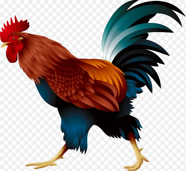 ��ͨ����-������