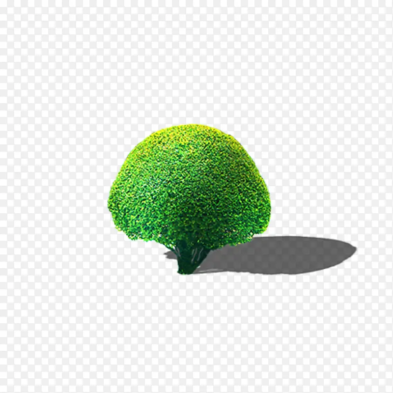 ���������-������