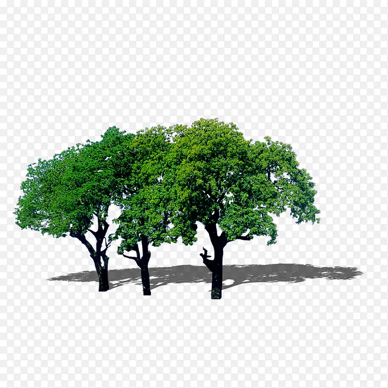 ���������-������