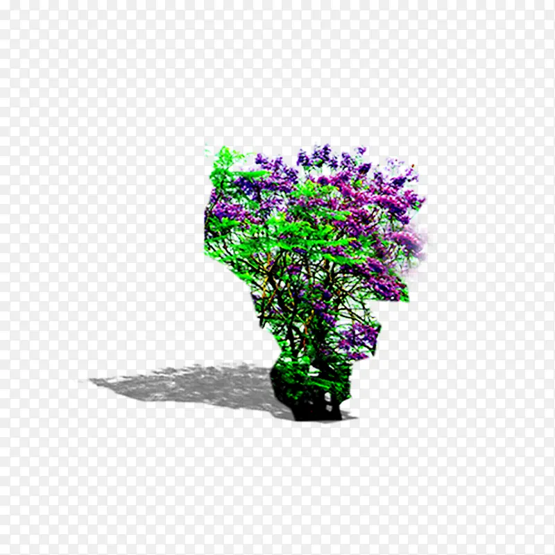 ���������-������