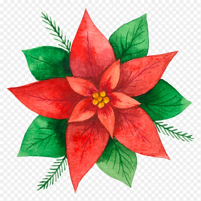 ��ɫ���ܲ廭�ز�ʸ��-������