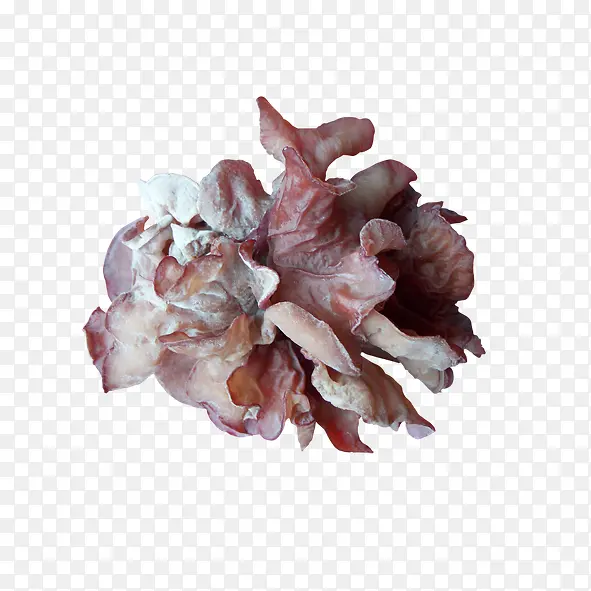 ľ��-������