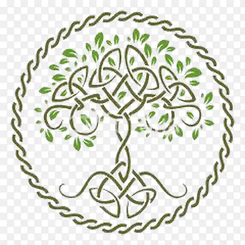 ����Բ��-������