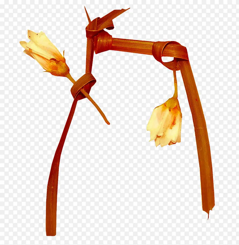 ��ɫ��Ҷ����-������