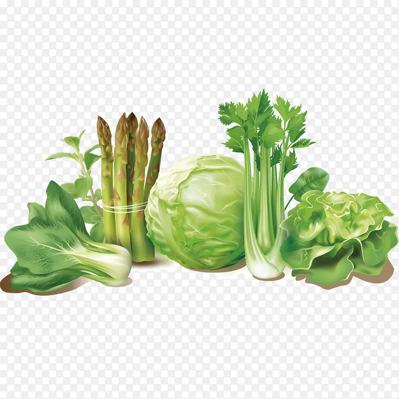 ʸ���߲�ͼ��-������