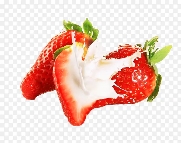 ţ�̲�ݮ-������