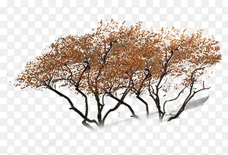 ������ɪƮɢ����-������