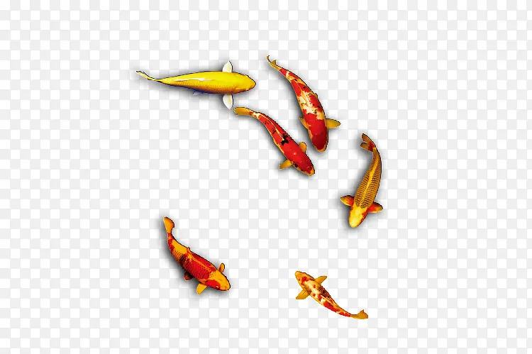 ���㶯��Ư��-������