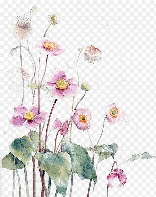 ʢ�����ֻ滨-������