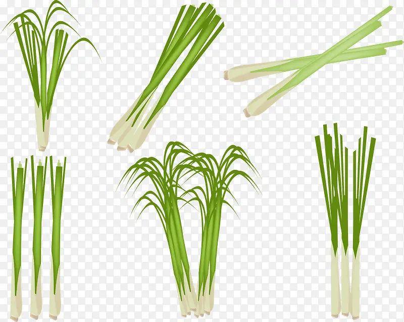 ʸ�����ʲݲ�ͼ-������