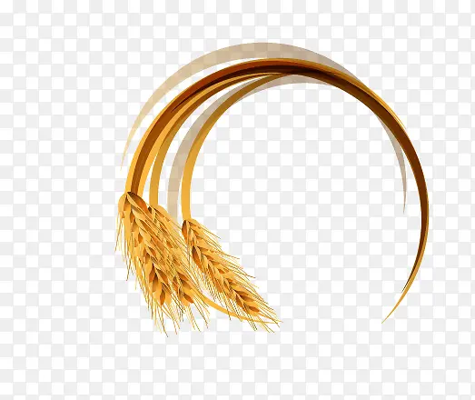 ����߿�-������