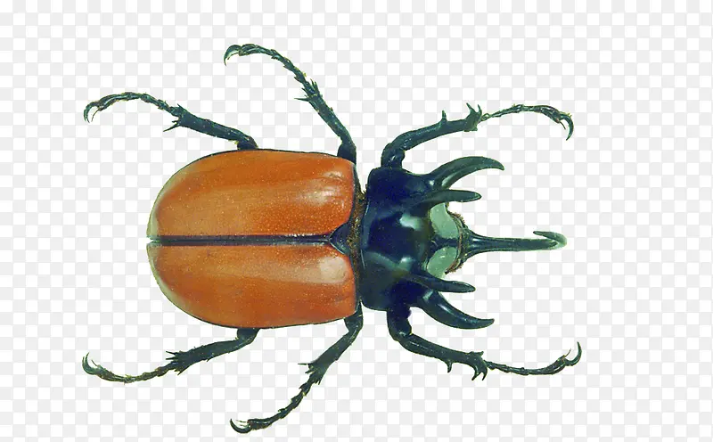 6��װ������-������