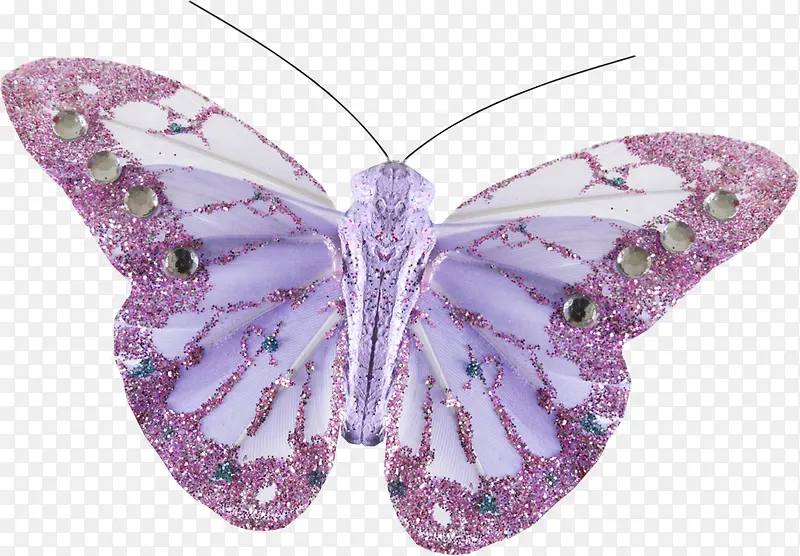 Ư���ĺ���-������