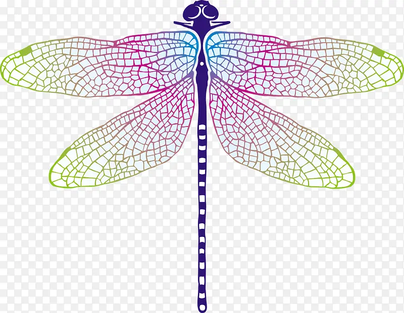 ��ɫƯ������������-������