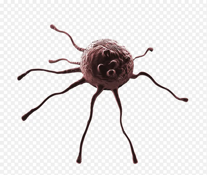 ��ϸ���ز�-������