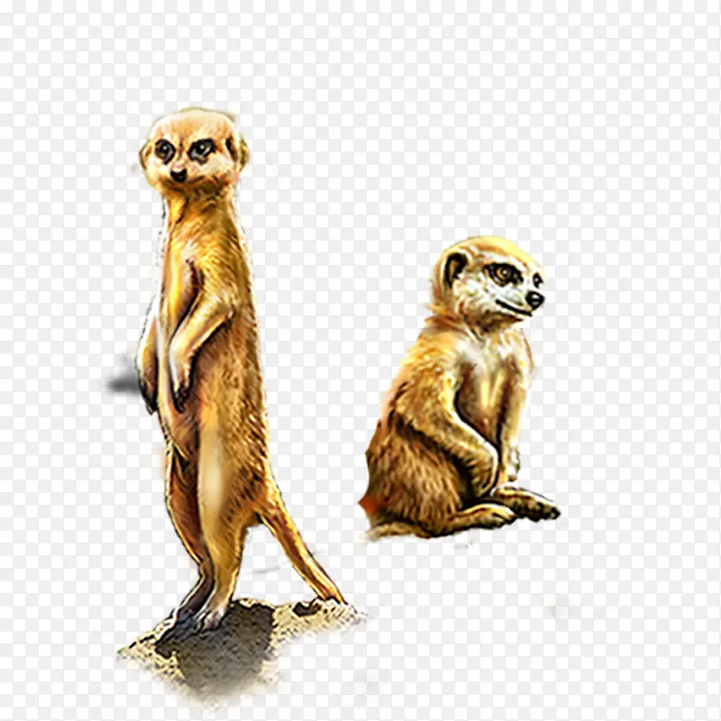 ����-������