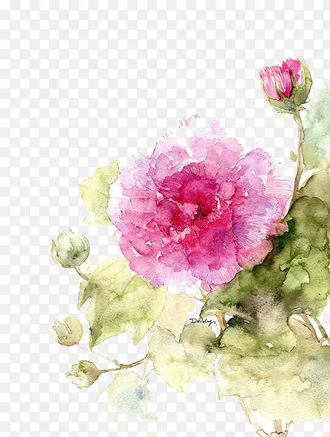 Ψ��ˮ���ֻ��ʻ�-������