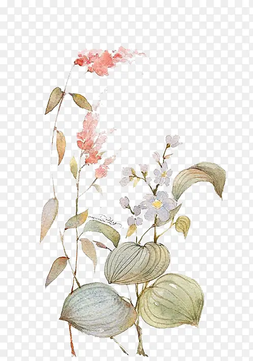 Ψ��ˮ���ֻ��ʻ�-������