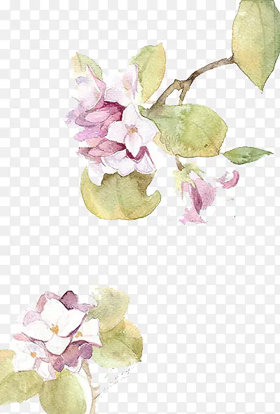 Ψ��ˮ���ֻ��ʻ�-������