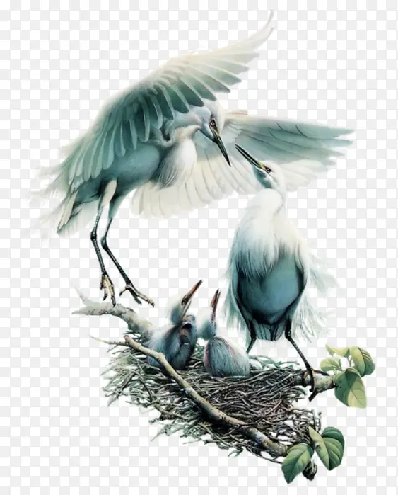 ���ಸ��-������