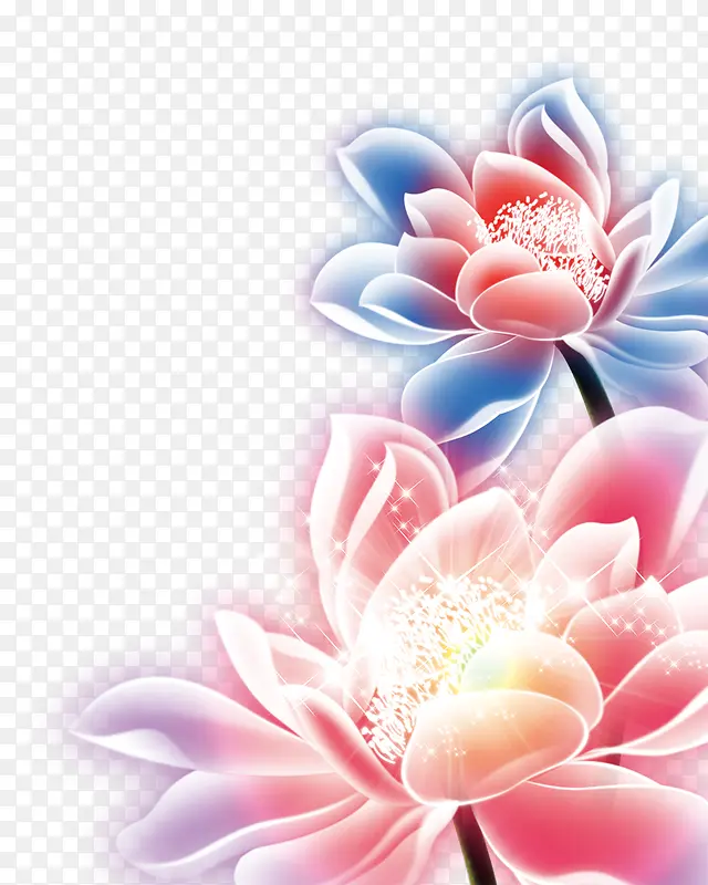 ��ɫ��-������