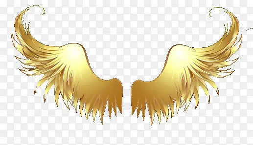 ��ɫ���-������