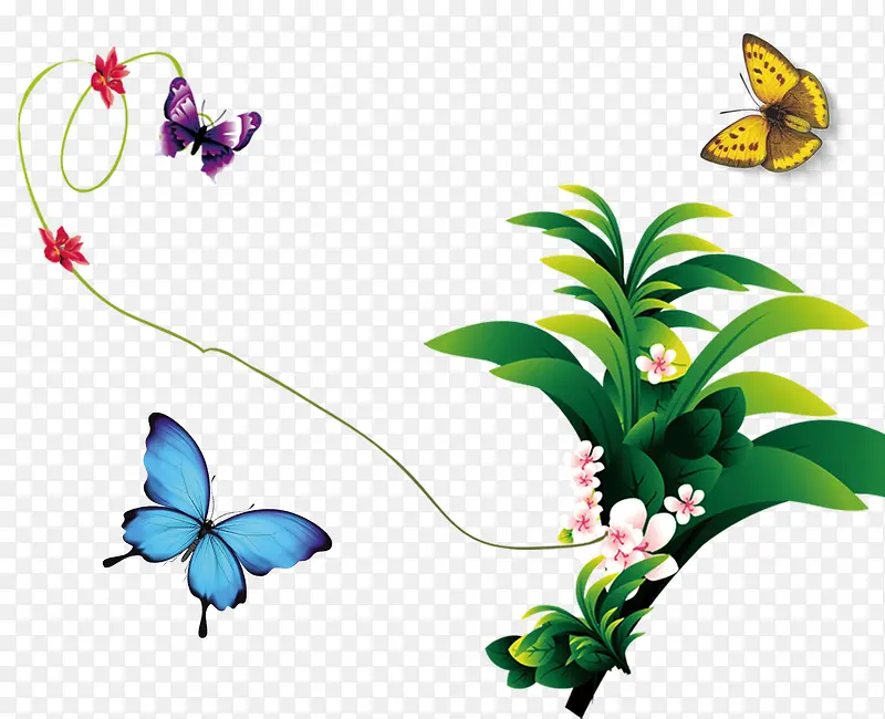 �ʻ��߷���ĺ���-������