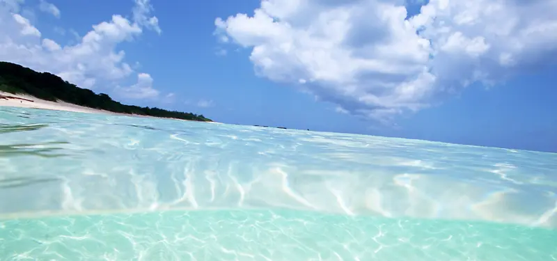 ������Ӱ����-������