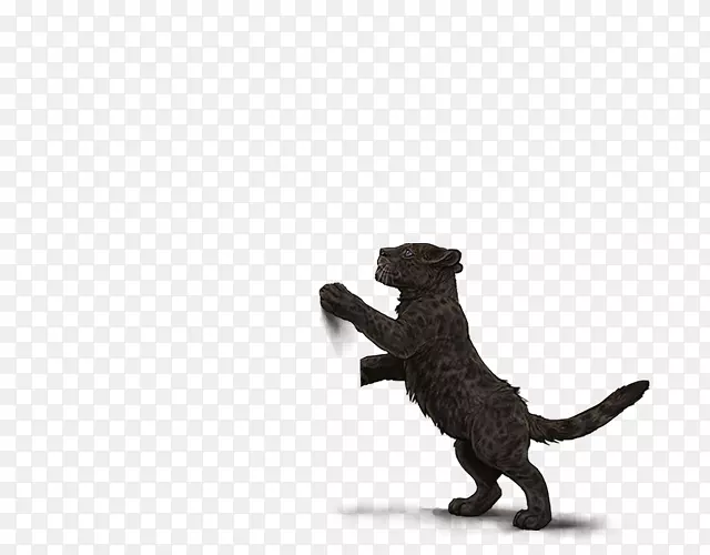 ����ʳ����ﶯ��ڱ�-������