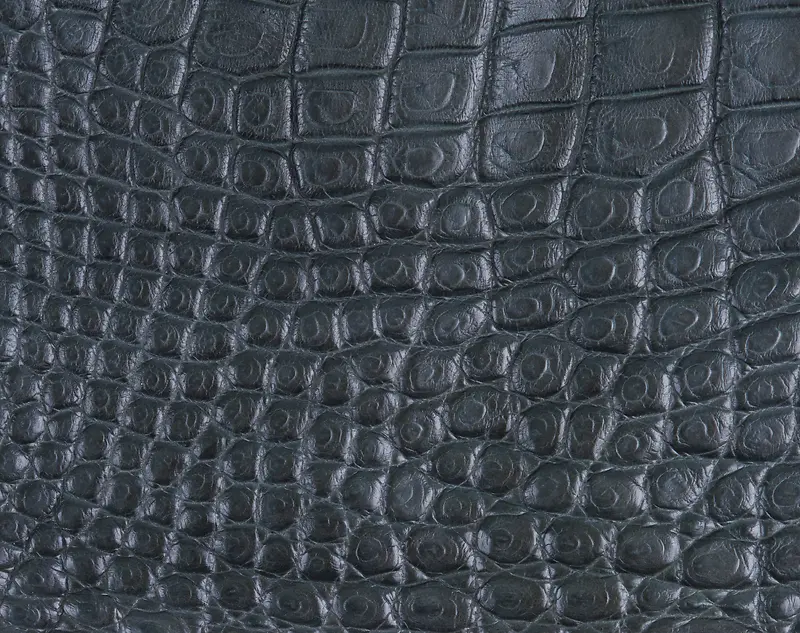 Ƥ�ﱳ��-������