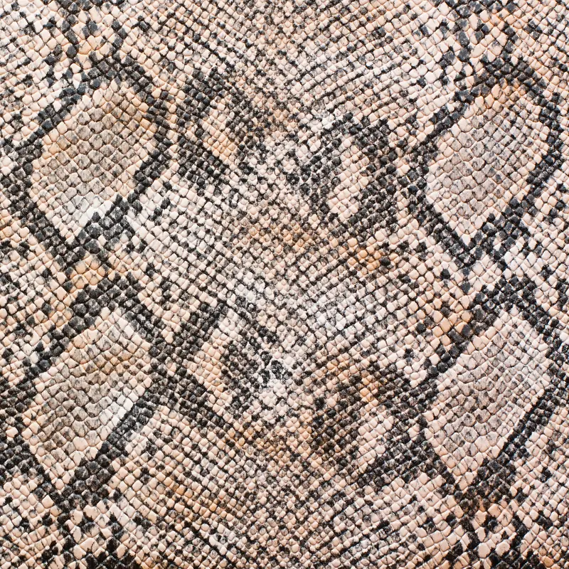 ��Ƥ����-������