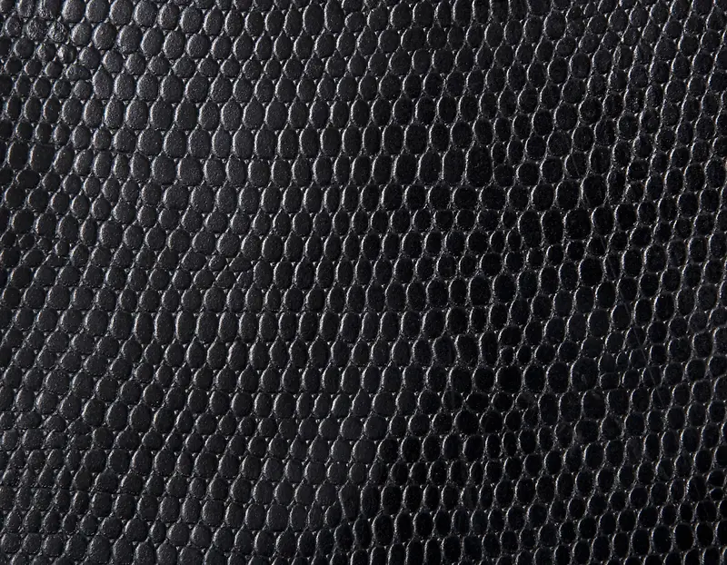 Ƥ�ﱳ��-������