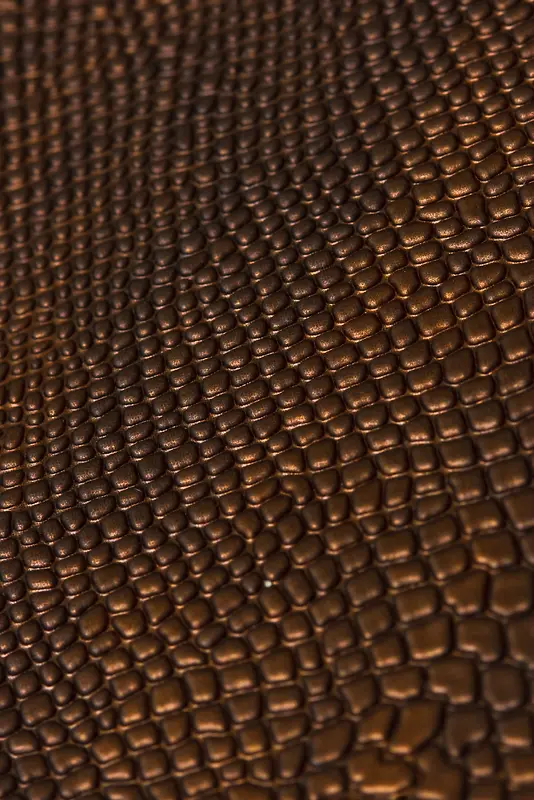 ��Ƥ����-������