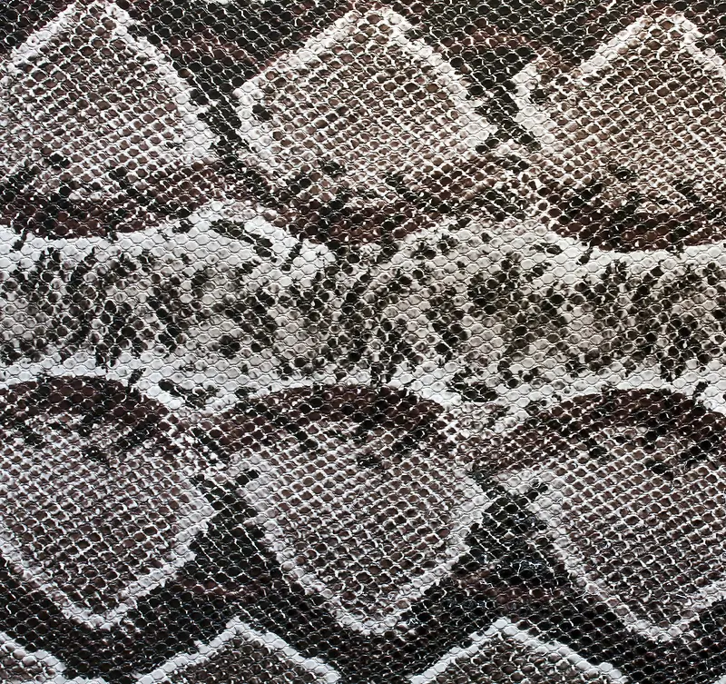 ��Ƥ��������-������