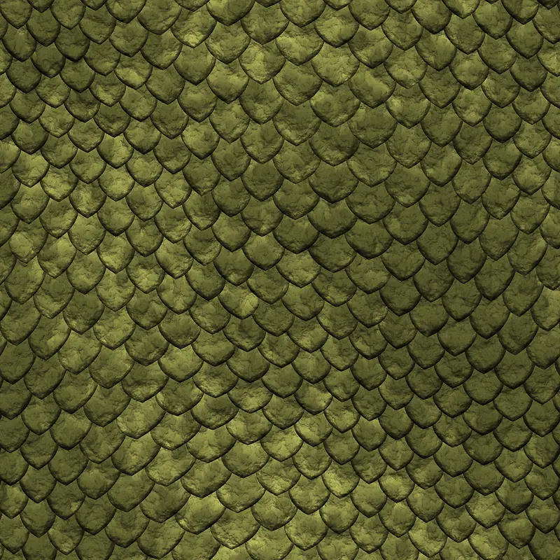 ��Ƥ��������-������