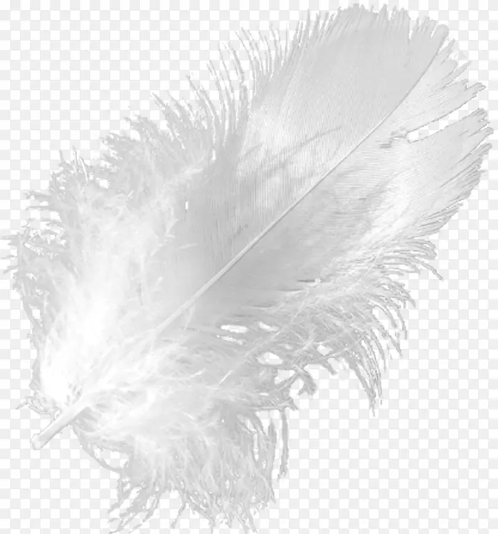 ��ɫ��ëPNG�ز�-������