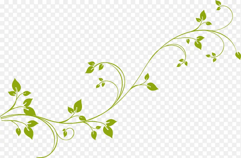 ���̵�С��֦Ԫ��-������