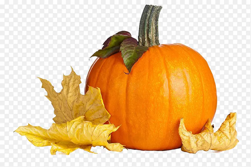 ��ɫ�Ϲ�ͼƬ-������