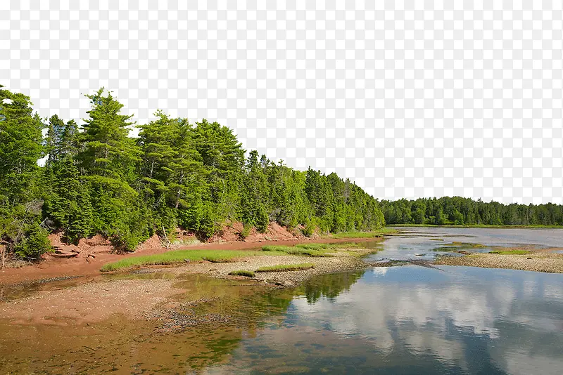 ���»��������ӵ�-������