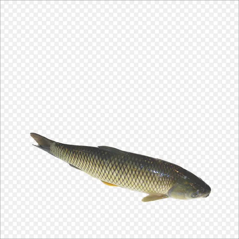 ������-������