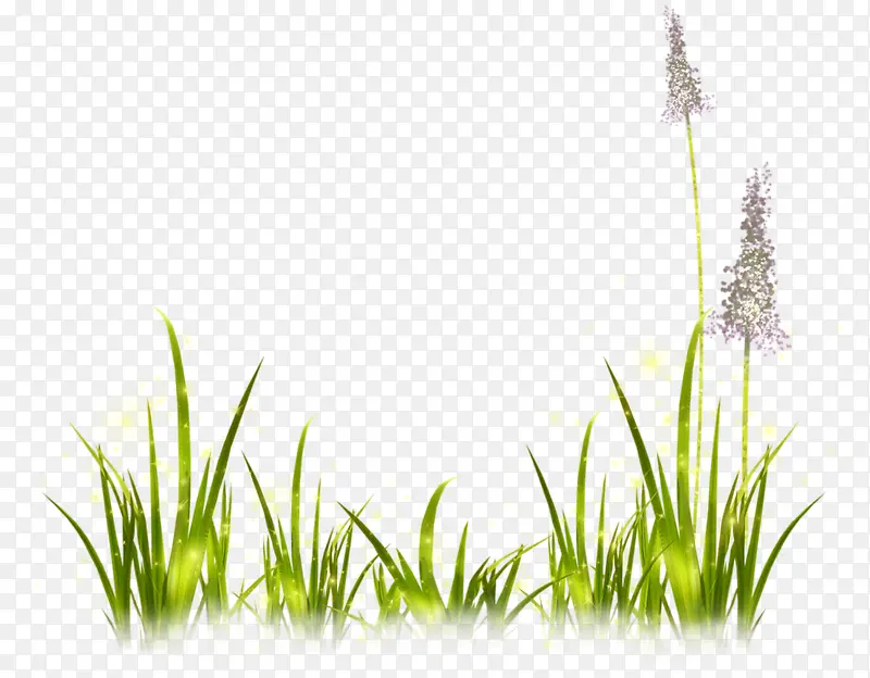 ޹�²ݼ�-������