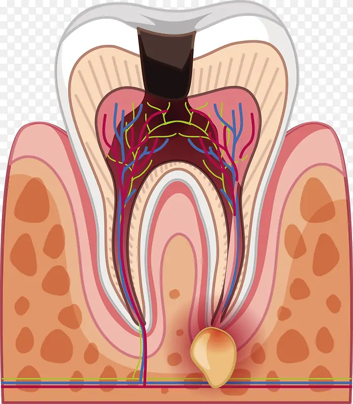 ʸ�����ݽṹ����-������