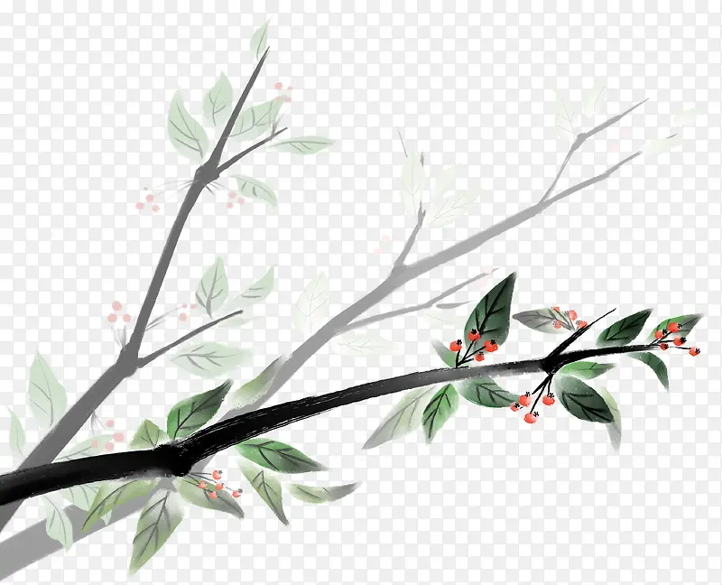 �й�����֦-������