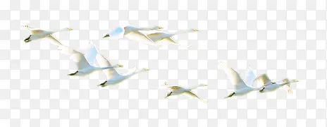 ����İ�ɫ���-������