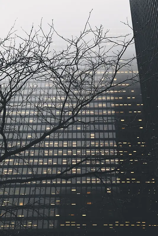 ��������ɿ���֦-������